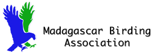 Madagascar Birding Association